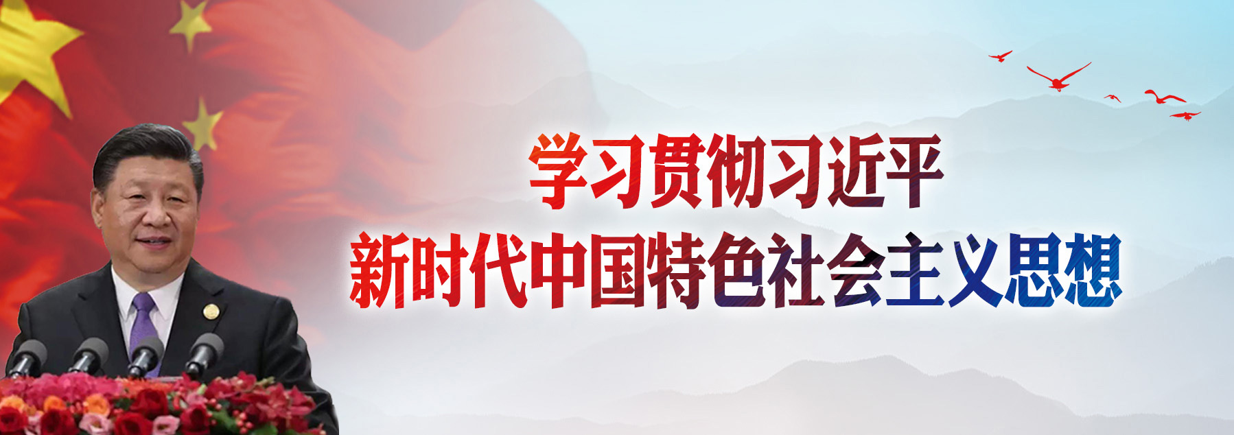 学习贯彻习近平