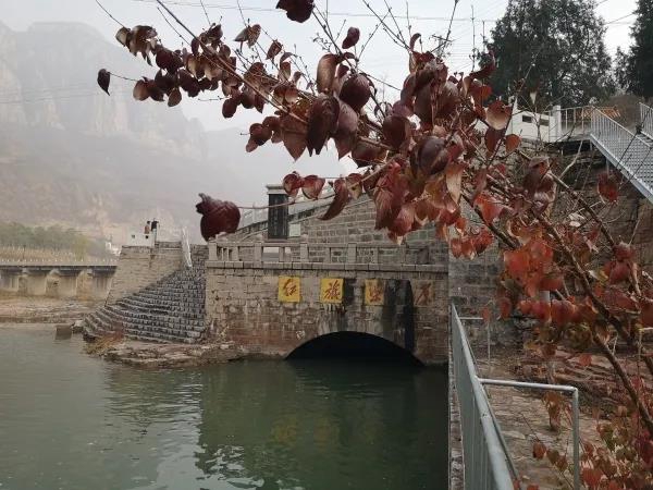 微信图片_20200410101503