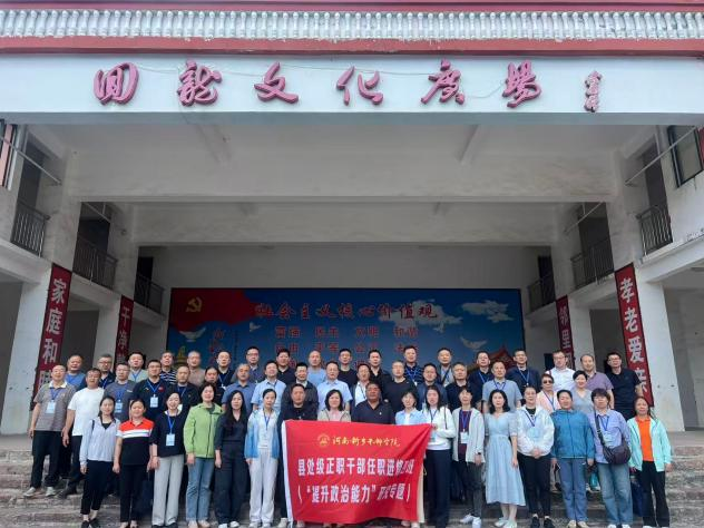 图片8